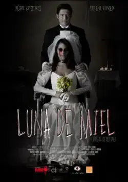 Постер: Медовый месяц / Luna de miel (2015)
