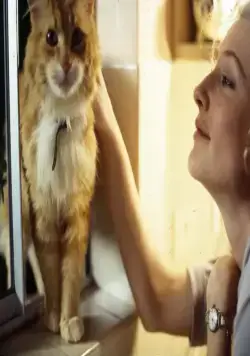 Кадр из Тайны заблудших душ (2005) Кадр 2 из фильма Тайны заблудших душ / Stories of Lost Souls (2005)