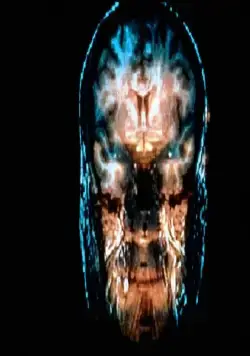 Кадр из Призрак в машине (1993) Кадр 1 из фильма Призрак в машине / Ghost in the Machine (1993)