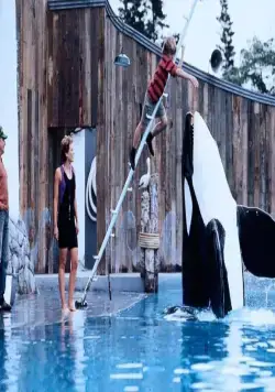 Кадр из Освободите Вилли (1993) Кадр 1 из фильма Освободите Вилли / Free Willy (1993)