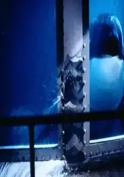 Кадр из Освободите Вилли (1993) Кадр 3 из фильма Освободите Вилли / Free Willy (1993)