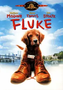 Постер: Флюк / Fluke (1995)