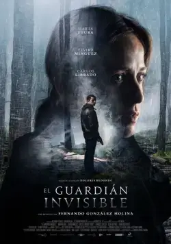 Постер: Невидимый страж / The Invisible Guardian (2017)