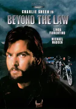 Постер: За пределами закона / Fixing The Shadow (1993)