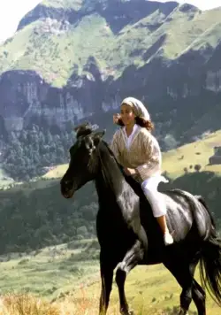 Кадр из Рожденный в песках (2003) Кадр 2 из фильма Рожденный в песках / Young Black Stallion (2003)