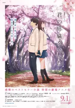 Постер: Я хочу съесть твою поджелудочную / Kimi no suizo wo tabetai (2018)