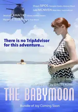 Постер: Медовый месяц перед родами / The Babymoon (2017)