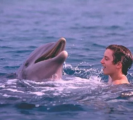 Кадр из Флиппер (1996) Кадр 2 из фильма Флиппер / Flipper (1996)