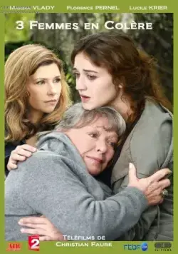 Постер: Три рассерженные женщины / 3 Femmes en colère (2013)