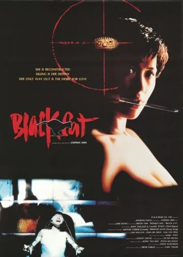 Постер: Черная кошка / Black Cat (1991)