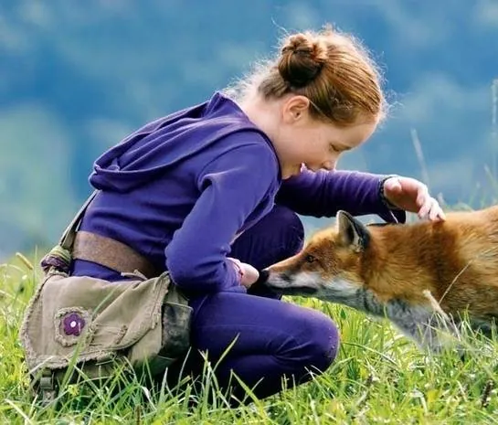 Кадр из Девочка и лисенок (2007) Кадр 3 из фильма Девочка и лисенок / The Fox & the Child (2007)