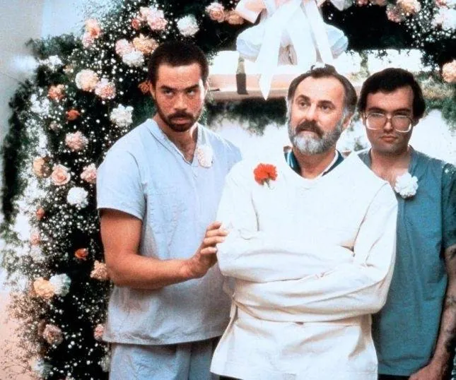 Кадр из Молодость, больница, любовь (1982) Кадр 2 из фильма Молодость, больница, любовь / Young Doctors in Love (1982)