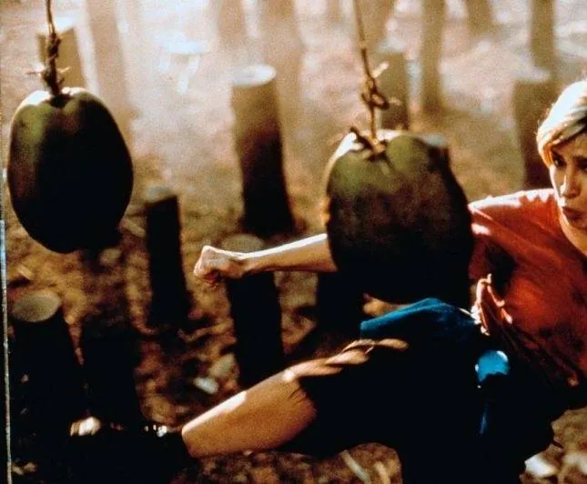 Кадр из Леди дракон (1992) Кадр 3 из фильма Леди дракон / Lady Dragon (1992)