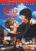 Постер: Все ради Пита / For Pete's Sake (1974)