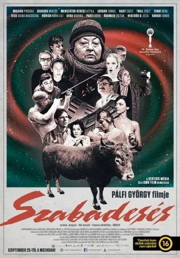 Постер: Свободное падение / Szabadesés (2014)