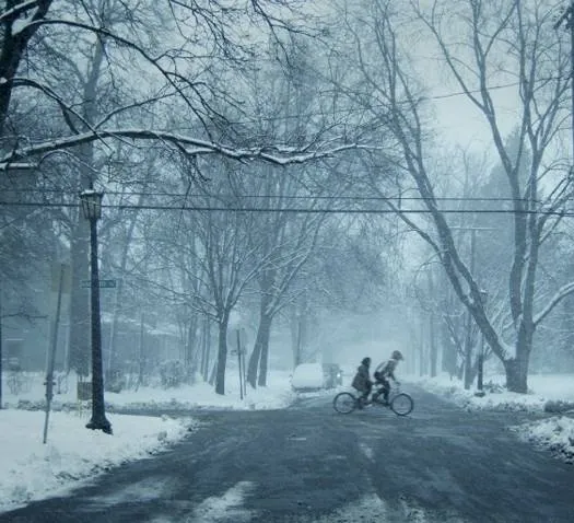 Кадр из Взрослый мир (2013) Кадр 1 из фильма Взрослый мир / Adult World (2013)