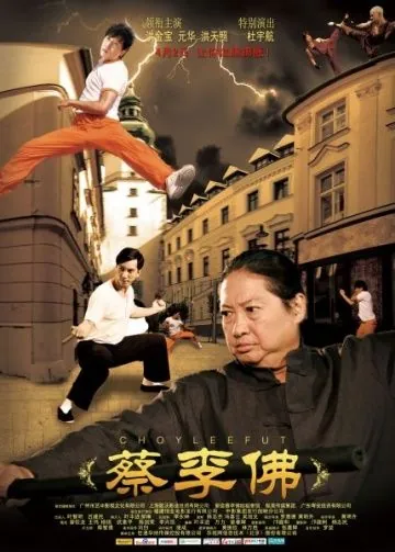Постер: Цайлифо / Cai li fu (2011)