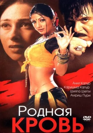 Постер: Родная кровь / Rishtey (2002)