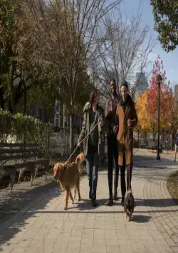 Кадр из Современная любовь (2019) Кадр 2 из сериала Современная любовь / Modern Love (2019)