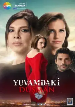 Постер: Враг в моём доме / Yuvamdaki Düsman (2018)