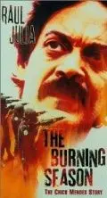 Постер: Огненный (драма) / The Burning Season (1994)