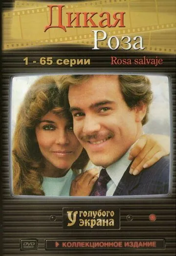Постер: Дикая роза / Rosa salvaje (1987)