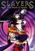 Постер: Особые Рубаки / Slayers Special (1996)