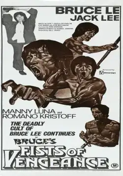 Постер: Мстительный кулак Брюса / Bruce's Fists of Vengeance (1980)