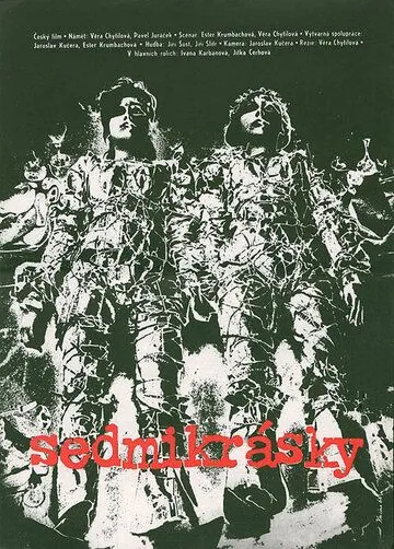 Постер: Маргаритки / Sedmikrásky (1966)
