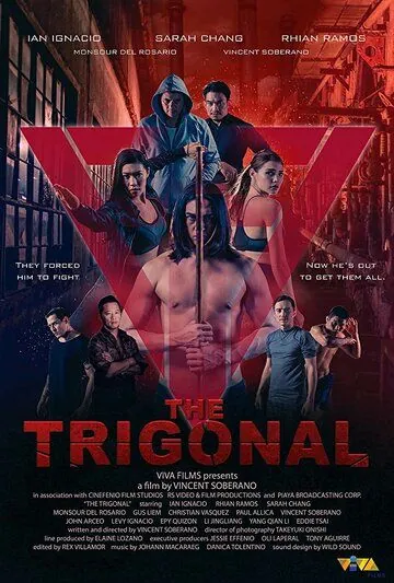 Постер: Тригонал: Борьба за справедливость / The Trigonal: Fight for Justice (2018)
