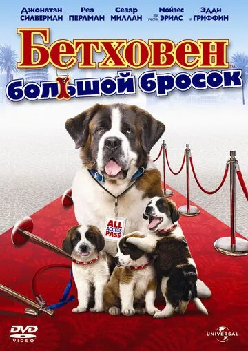 Постер: Бетховен: Большой бросок / Beethoven's Big Break (2008)