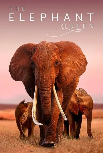 Постер: Королева слонов / The Elephant Queen (2019)