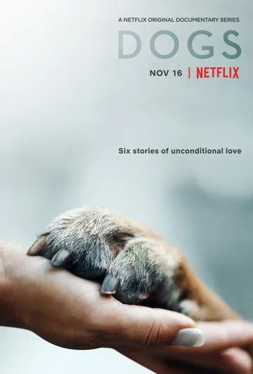 Постер: Собаки / Dogs (2018)