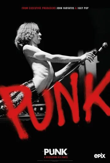 Постер: Панк / Punk (2019)