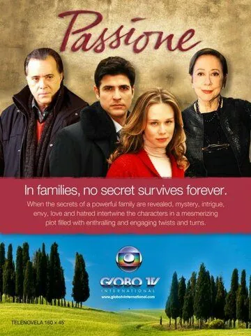 Постер: Страсть / Passione (2010)