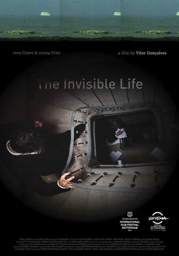 Постер: Лицо / A Vida Invisível (2013)