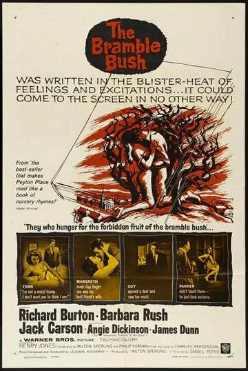 Постер: Терновый куст / The Bramble Bush (1960)