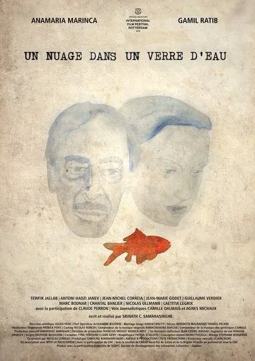 Постер: Облако над стаканом с водой / Un nuage dans un verre d'eau (2012)