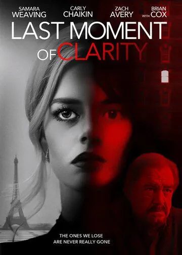 Постер: Момент истины / Last Moment of Clarity (2020)