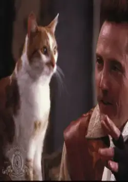 Кадр из Кот в сапогах (1988) Кадр 1 из фильма Кот в сапогах / Puss in Boots (1988)