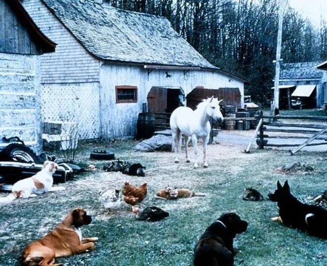 Кадр из Нико-единорог (1998) Кадр 1 из фильма Нико-единорог / Nico the Unicorn (1998)
