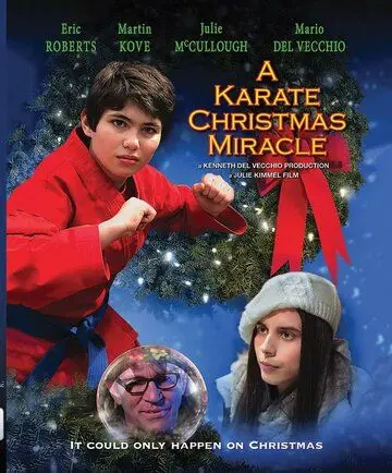Постер: Рождественское чудо в стиле карате / A Karate Christmas Miracle (2019)