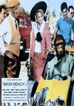Кадр из Пляж бикини (1964) Кадр 2 из фильма Пляж бикини / Bikini Beach (1964)