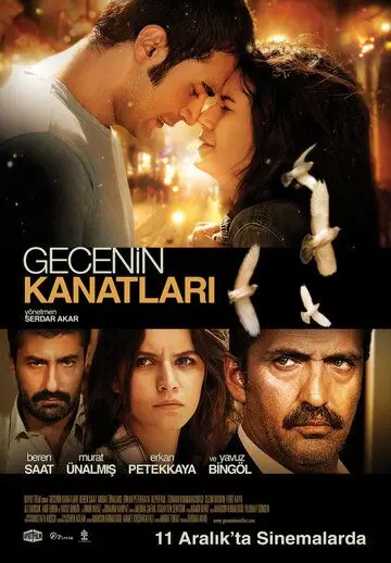 Постер: Крылья Гедже / Gecenin Kanatlari (2009)