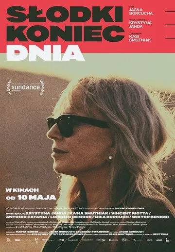 Постер: Конец сладкого дня / Dolce fine giornata (2019)