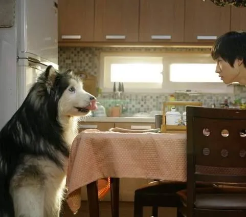 Кадр из Наш город (2007) Кадр 1 из фильма Наш город / Uri dongnae (2007)