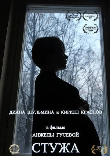 Постер: Стужа (2017)