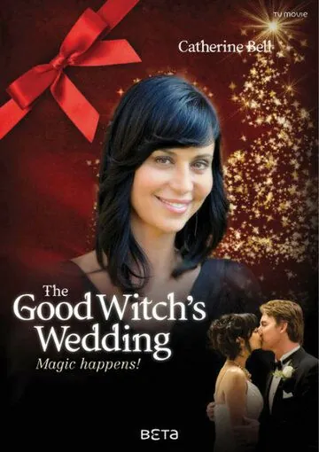 Постер: Семья доброй ведьмы / The Good Witch's Family (2011)