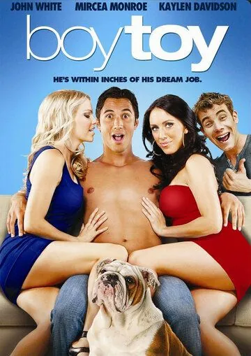 Постер: Мальчик-игрушка / Boy Toy (2011)