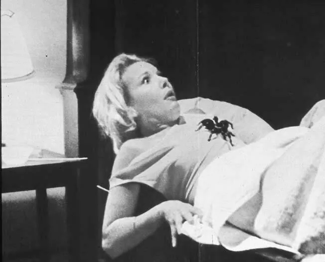 Кадр из Поцелуй тарантула (1976) Кадр 2 из фильма Поцелуй тарантула / Kiss of the Tarantula (1976)
